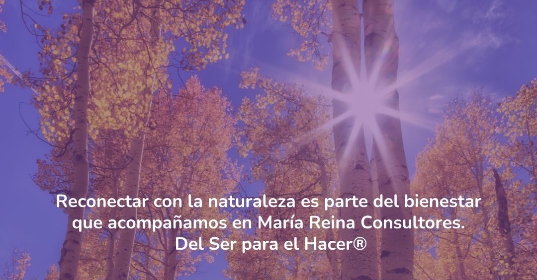 Volver a la naturaleza también es volver a ti
