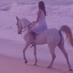 Inteligencia artificial: el caballo que necesita un jinete
