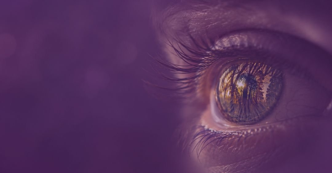 El arte de ver las cosas El arte de ver las cosas