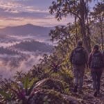 Baños de bosque: la ciencia detrás de la pausa que tu equipo necesita