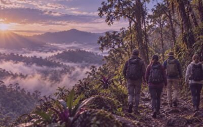 Baños de bosque: la ciencia detrás de la pausa que tu equipo necesita